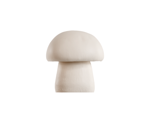 Champignon