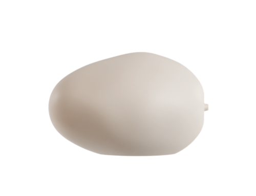 Mangue