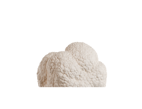 Truffe