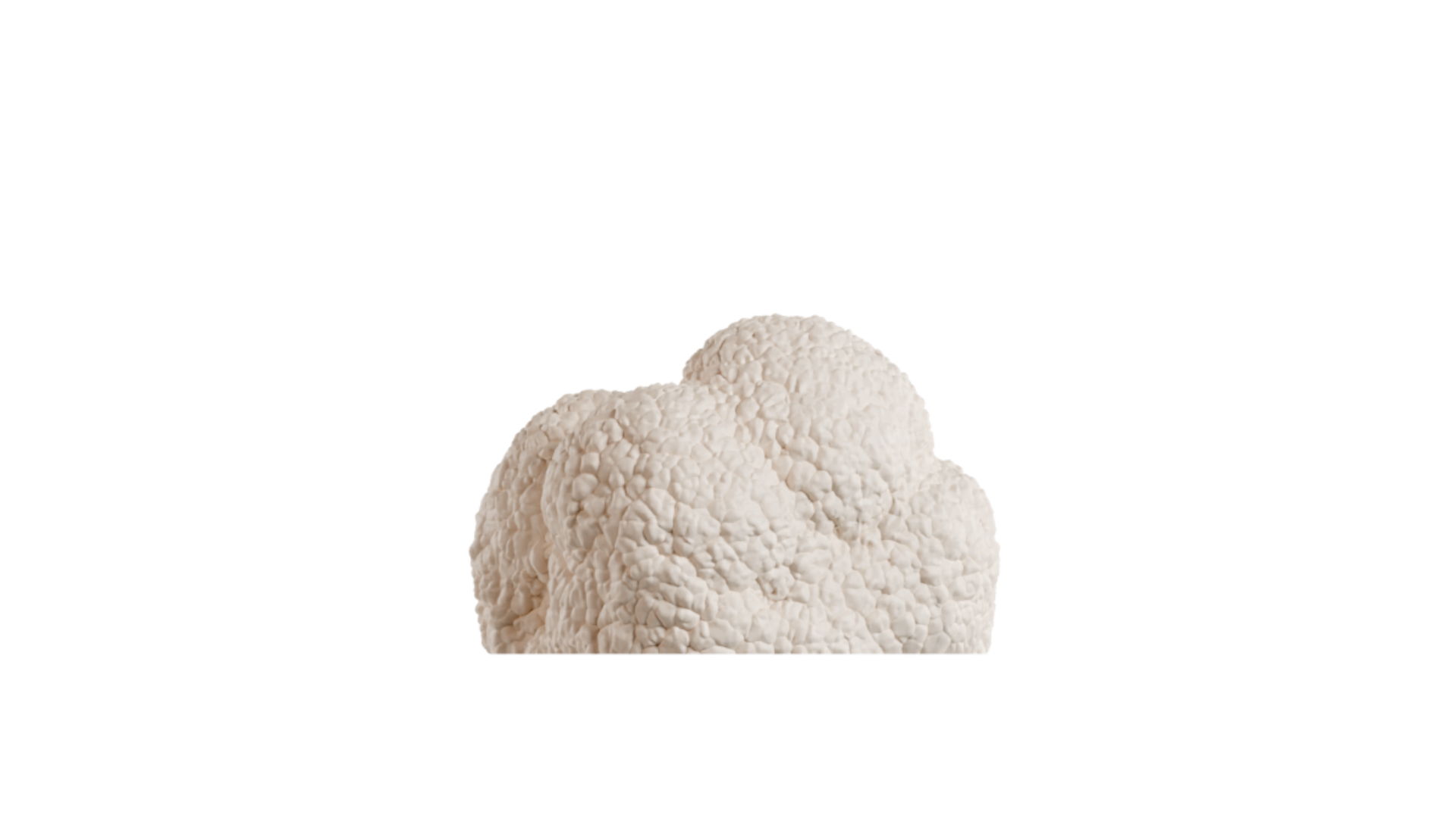 moule trompe l'œil en forme de truffe